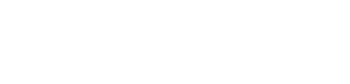 Beyond Demise Logo